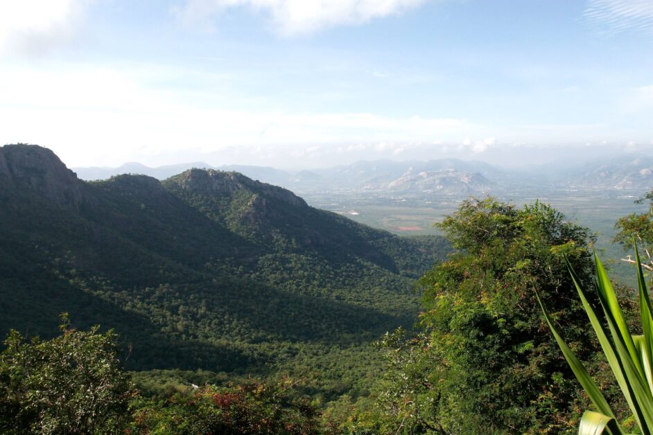 Aerial view of Tirumala Hills surrounded by lush greenery