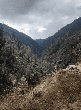 Janjehli Himachal Pradesh