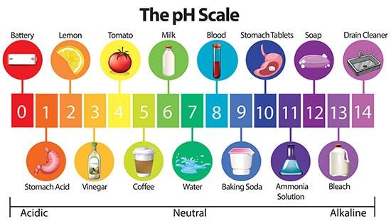 Picturing pH scale: Acid base balance