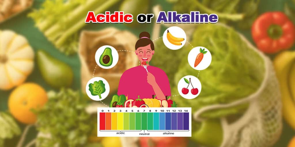 Chart showing alkaline and acidic food categories.