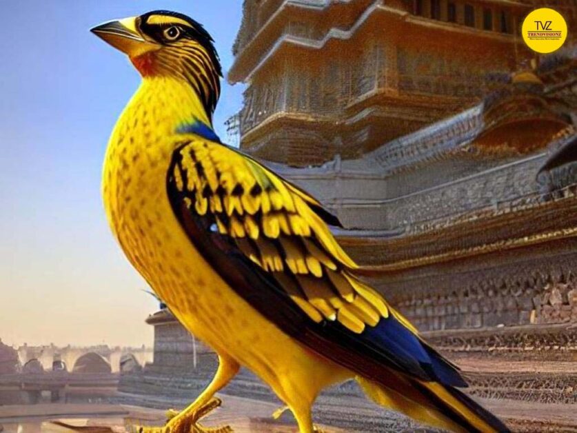 Perception of India as the Golden Sparrow