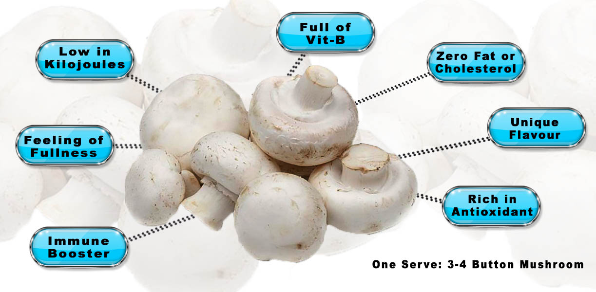 Promising Mushroom Farming Business: A Profitable Step-by-step Guide