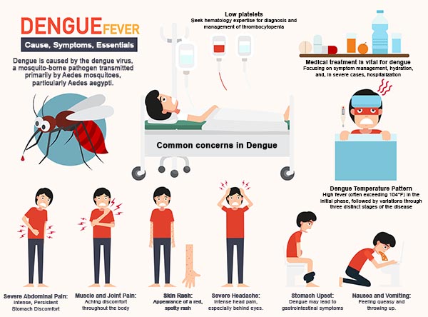 Dengue Fever: Causes, Symptoms