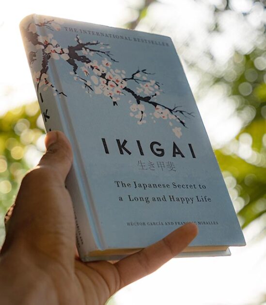 ikigai meaning
