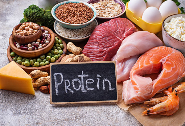 Protein-rich morning delights: Healthy Nutrition