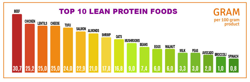 Top Protein Foods List