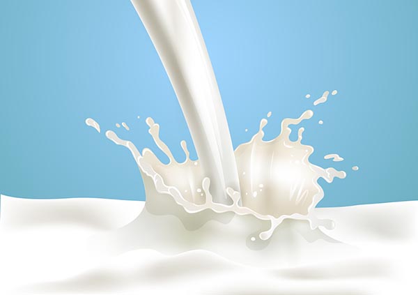What Type of Milk is Recommended For Adults