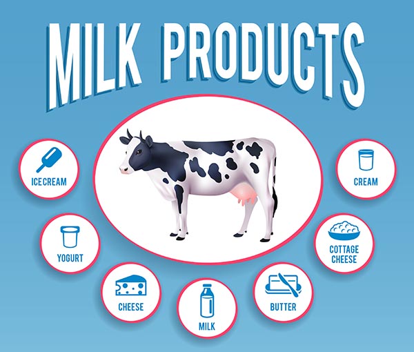 Nutrient-rich milk highlighting its benefits to adults for a healthy lifestyle