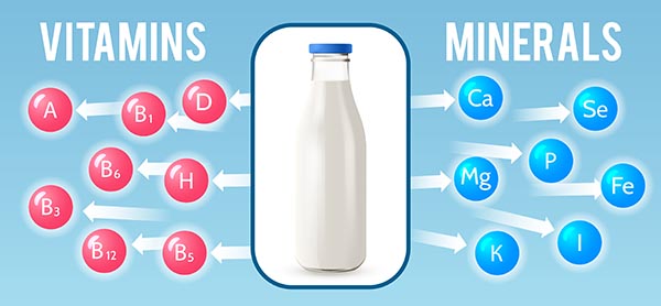 Enriched and fortified milk, a nutritional powerhouse for wellness
