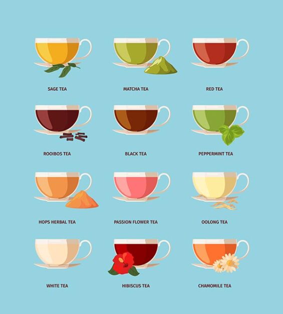 Tea Varieties: A visual journey through the myriad flavors
