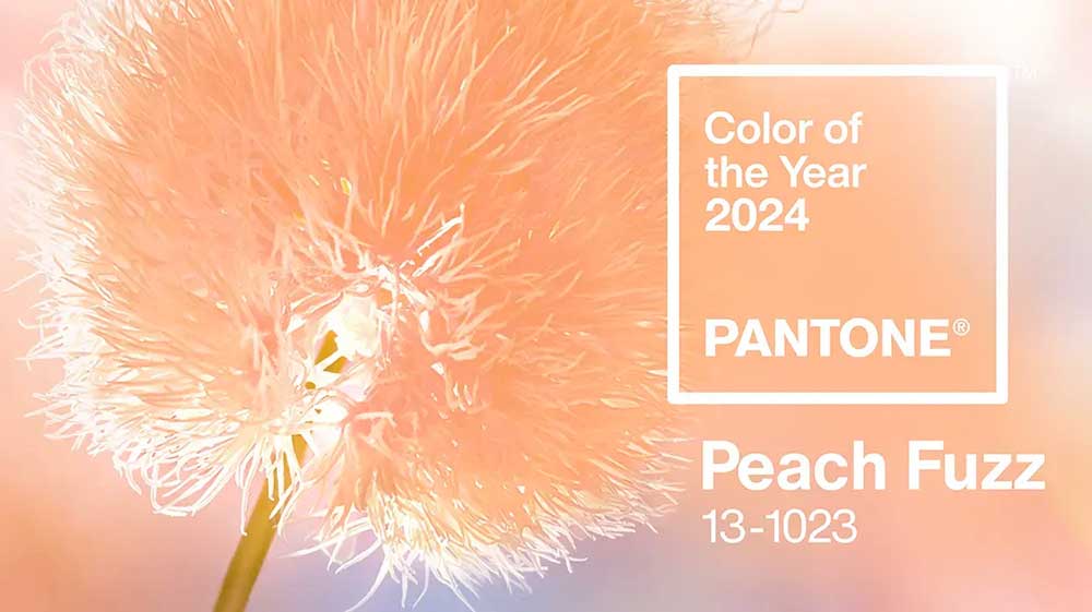 Embrace Pantone Peach Fuzz: 2024 color trends fashion 