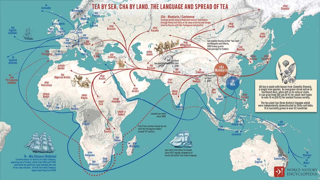 History of Tea: Journey 'Tea' by sea, 'Cha' along Silk Road routes.
