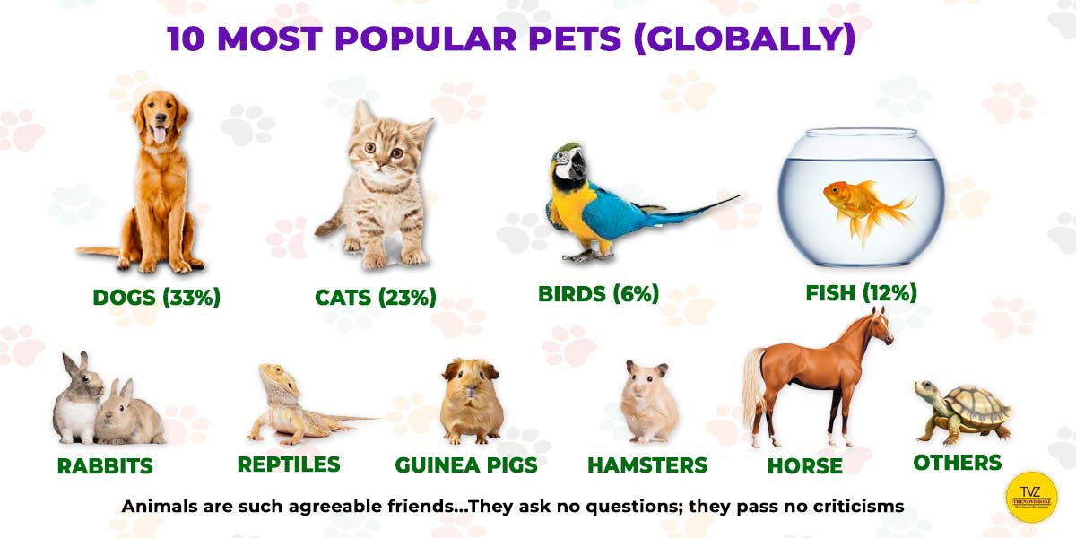 The Top 10 Popular Pets