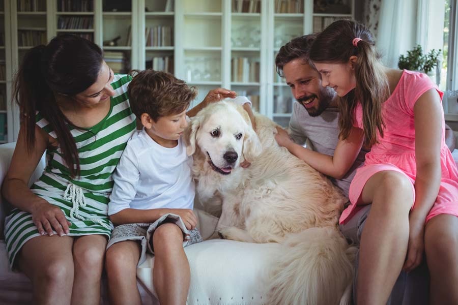 Family with pets, creating lasting memories together