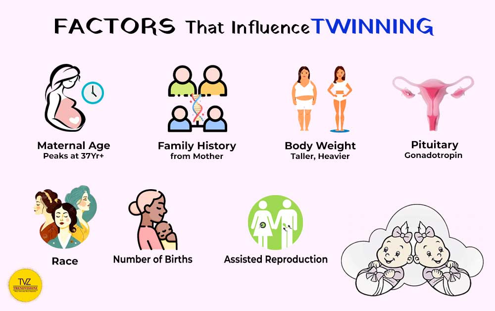Infographic: Factors Influencing Twin Pregnancy