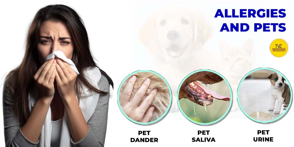 Tips for dealing with pet allergies in your home