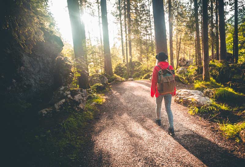 Connect with nature: rejuvenate with a peaceful summer nature walk
