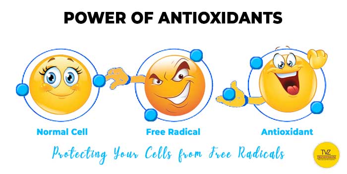 Antioxidants: Halting Free Radicals in Their Tracks