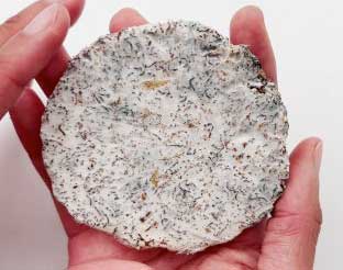 Mycelium offers eco-friendly solutions with bio-based materials