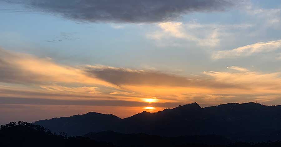 Spring in Kasauli Hills: Nature comes alive in vibrant hues