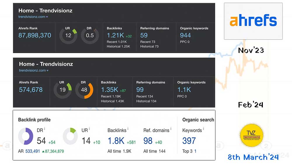 Trendvsionz: The SEO Practices Behind High DA/ DR Website