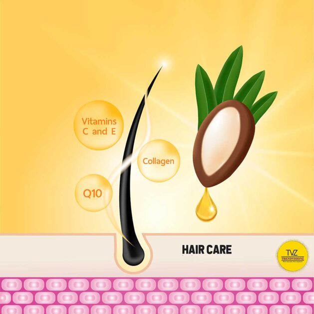 Benefits of essential oils for hair care: Argan Oil Benefits