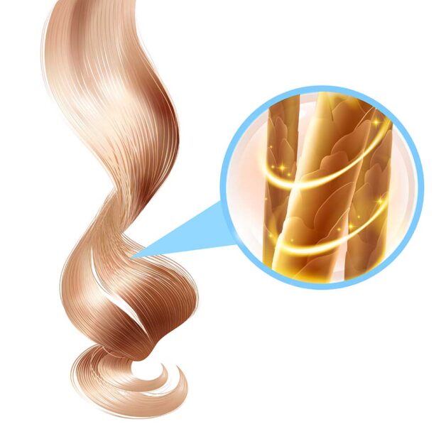 Diagram showing healthy and strong hair structure