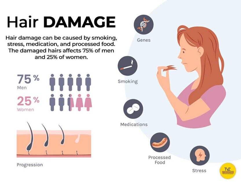 Infographic showing various hair damage causes. Awareness for Hair care