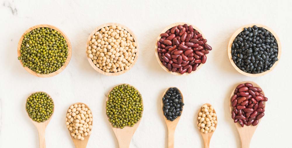 Legumes: High-Fiber and Nutrient-Rich Food Sources