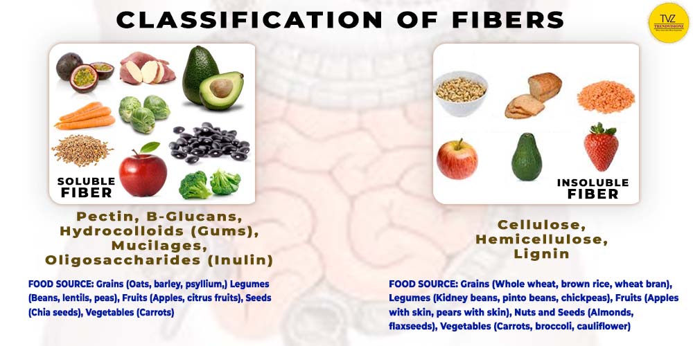 Classification of Dietary Fiber and Their Food Sources