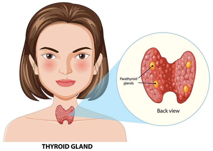 women's hormone health