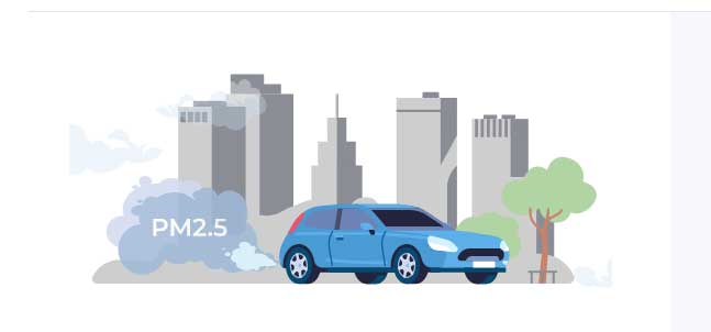 PM2.5 particles and their health-related risks