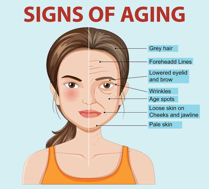 Illustration showing common signs of aging, including wrinkles and age spots.