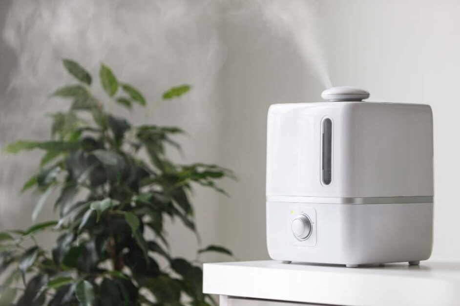 White humidifier releasing mist near plant in UAE home