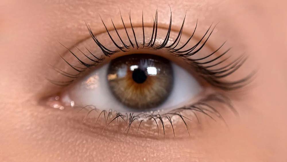 Brow and Lash Trends