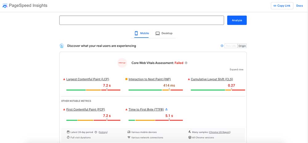 Google PageSpeed Insights showing Core Web Vitals performance metrics