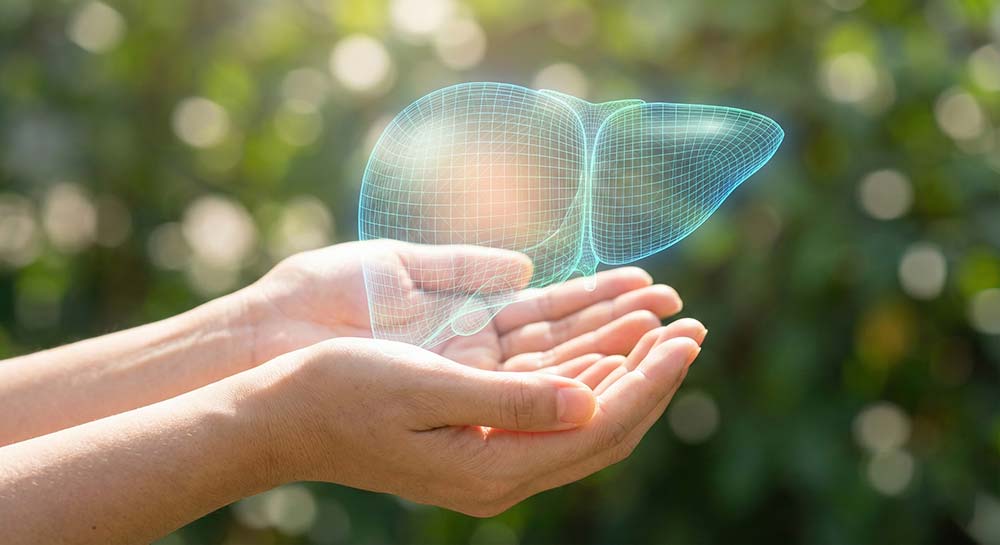 Symbolic image showing liver protection and recovery through lifestyle care